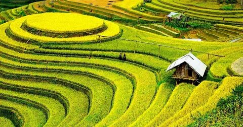 Hotspot Matrix: Biến 4 kiểu áo sơ mi dìm dáng, xỉn thành cơ hội marketing đột phá_Gói tiếp thị kỹ thuật số dịch vụ