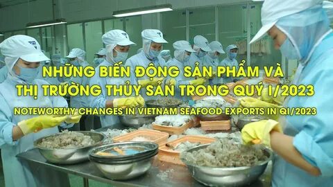 Video ngắn – Giải pháp truyền thông thông minh cho doanh nghiệp nhỏ