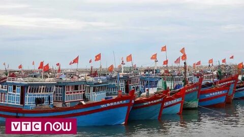 Hotspot Matrix và thay đổi của Li Wei trong thai kỳ_video gia công