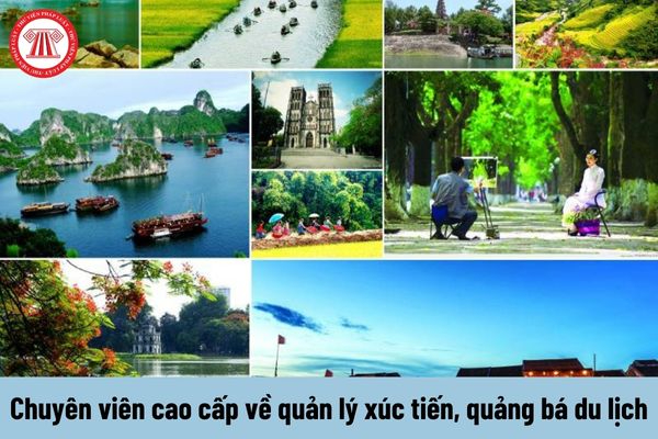 Mẹ đơn thân ở Vĩnh Yên và hành trình tìm lại chính mình cùng Hotspot Matrix_Video ngắn YouTube Shorts