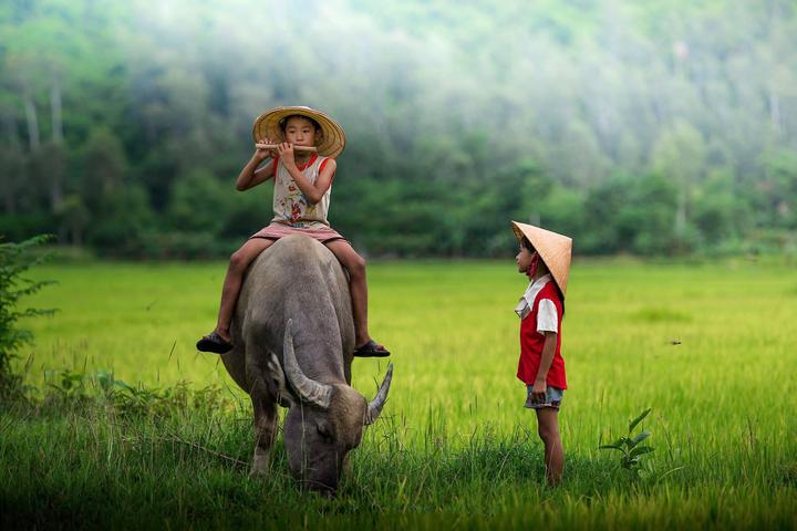 Xu hướng Bộ sản phẩm hỗ trợ giảm mụn: Hotspot Matrix tiết lộ bí quyết video viral