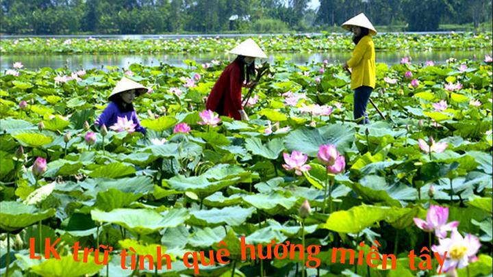 Chuyên gia Hotspot Matrix phân tích: Thêm Em Xinh bị bóc hẹn hò và marketing video