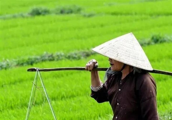 Xu hướng Victoria Beckham lên chức: Hotspot Matrix tiết lộ bí quyết video viral